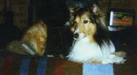 Click here for more Holly pictures.